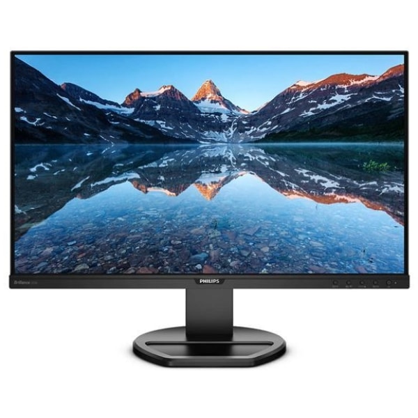 LCD monitor Philips 252B9/00