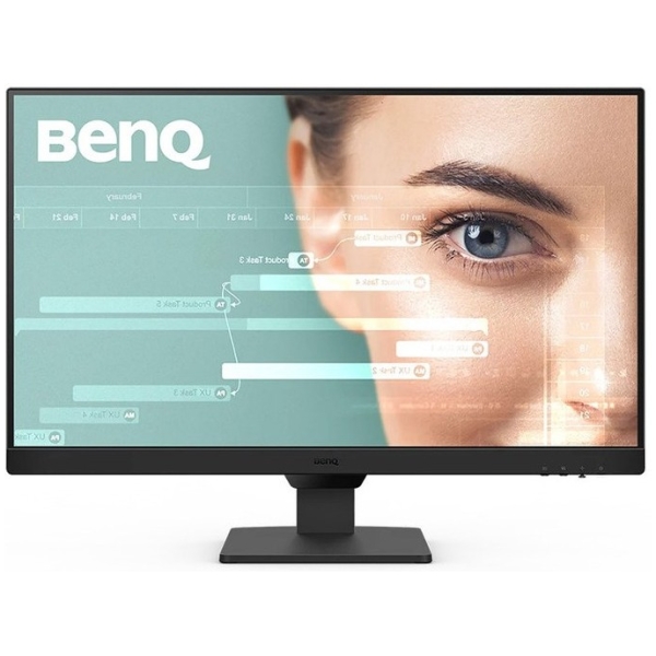 BENQ GW2490T Monitor