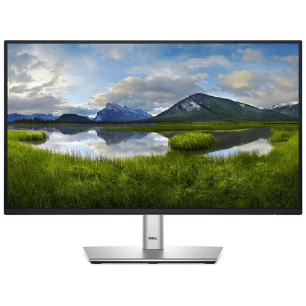 Monitor Dell P2225H Connectivity