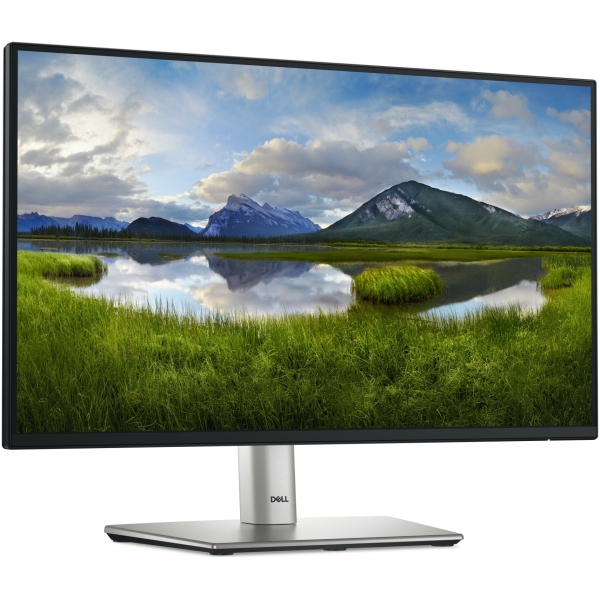 Monitor Dell P2225H Features