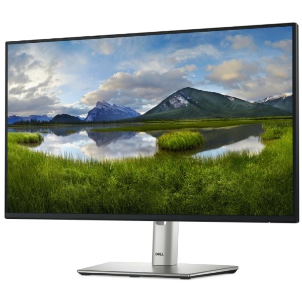 DELL Monitor P2425HE