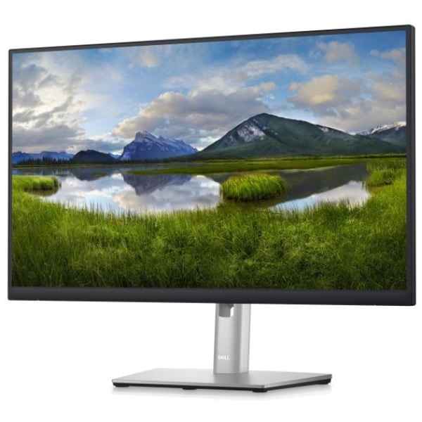 Dell Monitor Front View