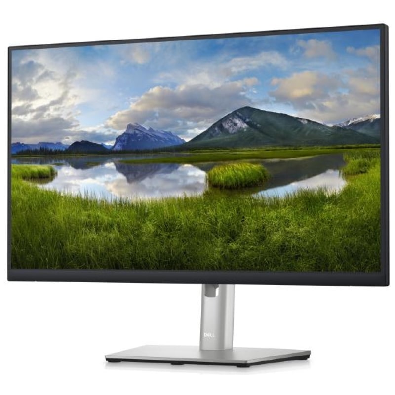 Monitor Dell P2423DEgdht 1